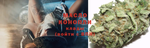 крисы Заводоуковск