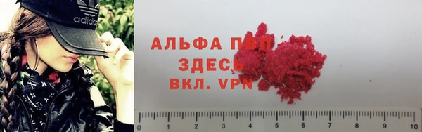 spice Зеленокумск