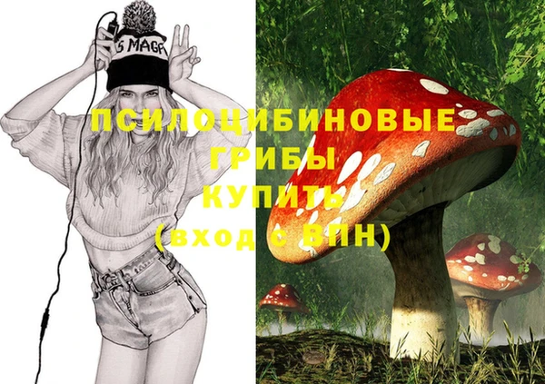 крисы Заводоуковск
